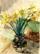 Jonquilles du jardin